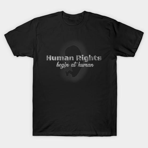 Human Rights Begin at Human T-Shirt by Lemon Creek Press